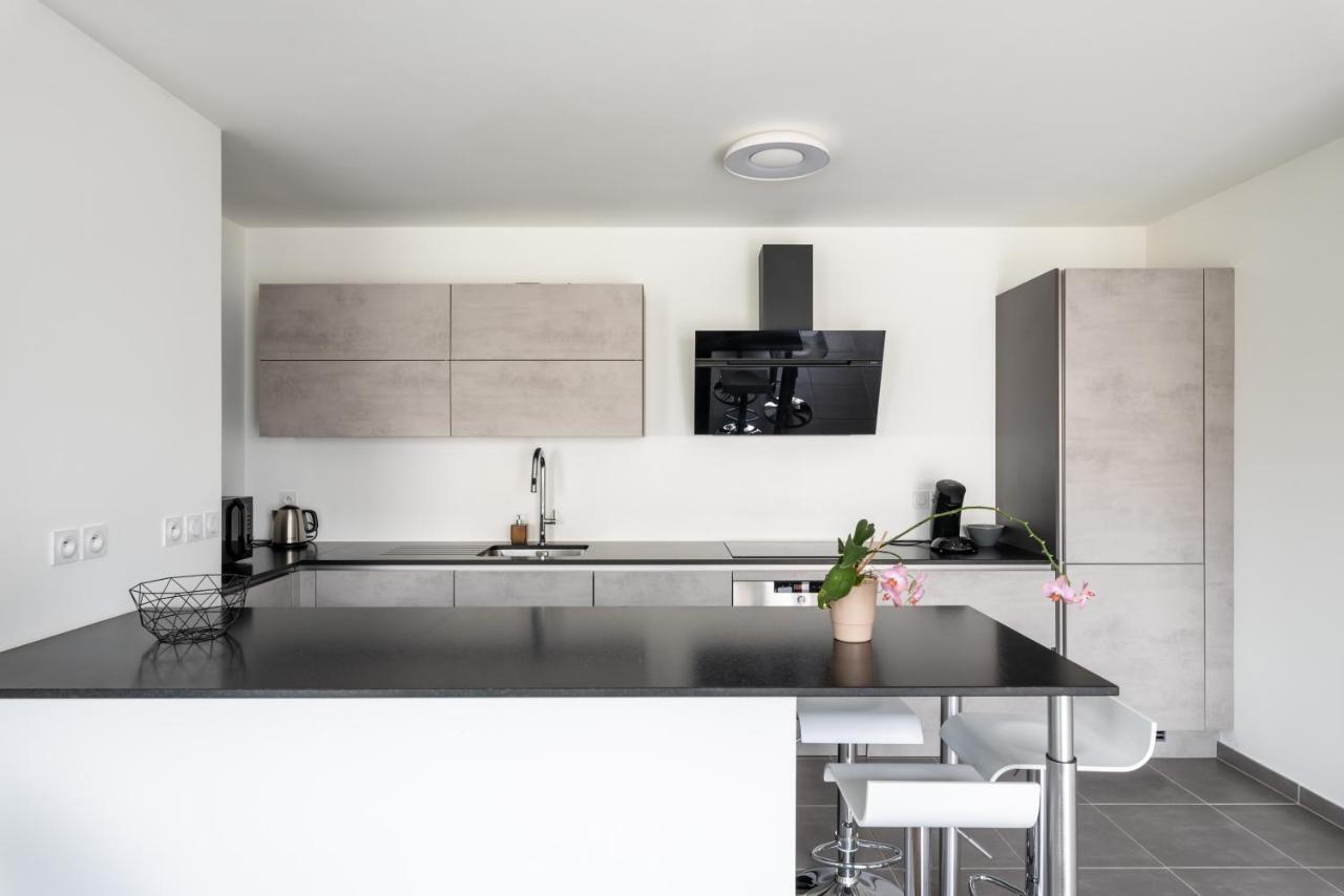 Appartement De Standing Avec Grande Terrasse Вильорбан Екстериор снимка